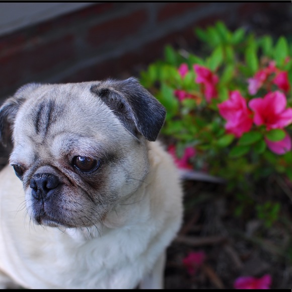 Meet your Posher, Maria - Picture 1 of 1